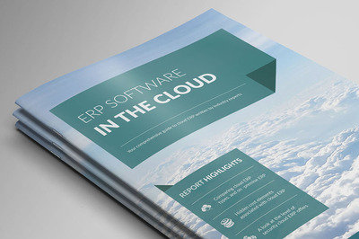 cloud-erp stack crop