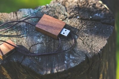 ERP Data Migration Failure - USB