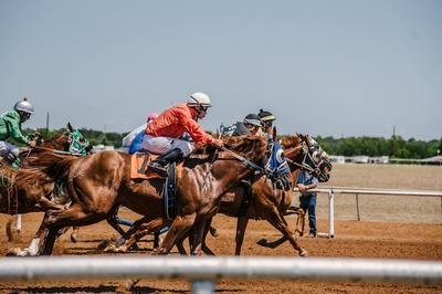 horses racing