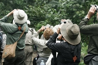 Process Manufacturing ERP Search