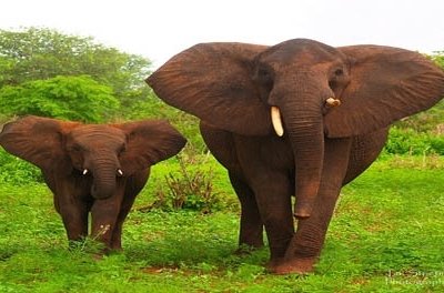 Replacing Your ERP System…More or Less?