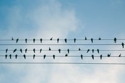 slava-bowman-161209-unsplash