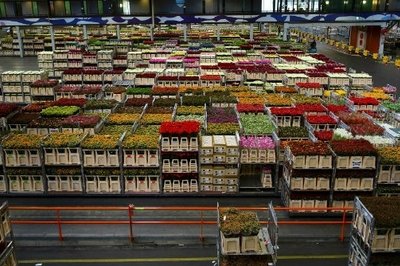 warehouse erp