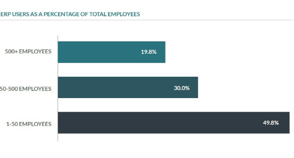 erp system users